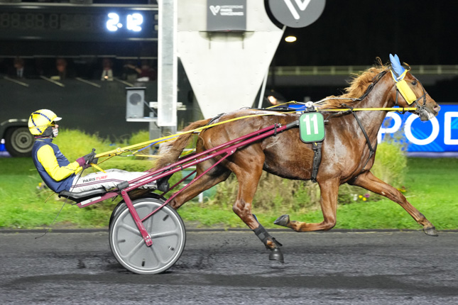 Photo d'arrivée de la course pmu PRIX DES CLEMATITES à PARIS-VINCENNES le Mardi 27 octobre 2026