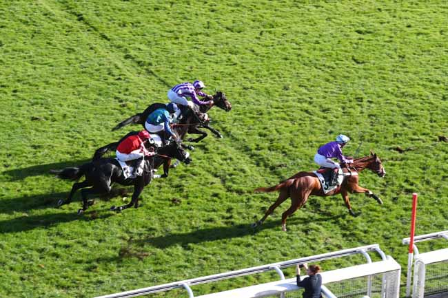 Photo d'arrivée de la course pmu PRIX LUSIGNAN à AUTEUIL le Mercredi 28 octobre 2026