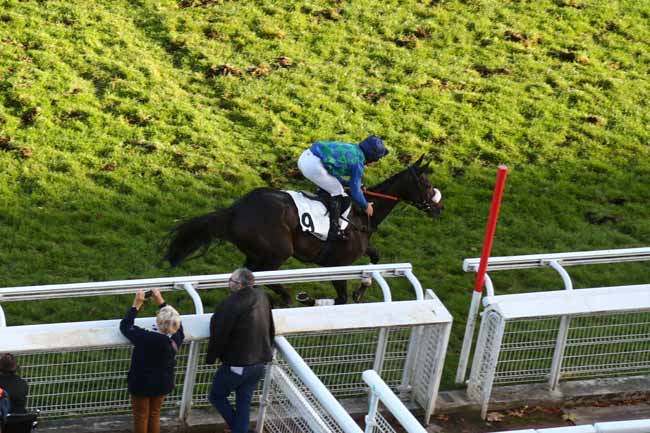 Photo d'arrivée de la course pmu PRIX FRASCATI à AUTEUIL le Mercredi 28 octobre 2026