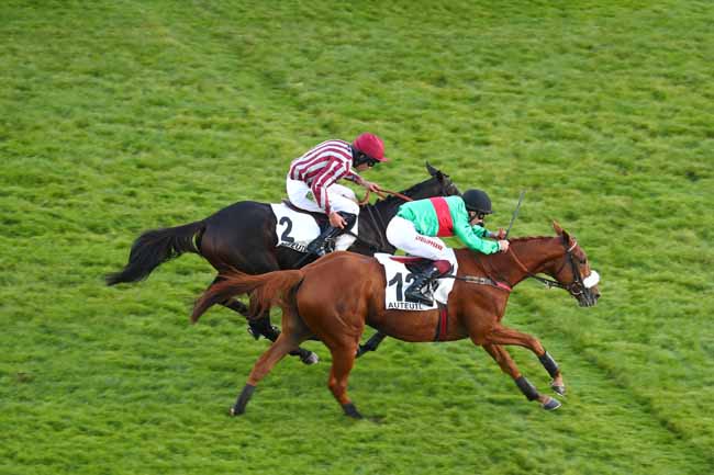Photo d'arrivée de la course pmu PRIX ROBERT BATES à AUTEUIL le Mercredi 28 octobre 2026