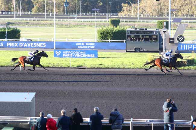 Photo d'arrivée de la course pmu PRIX D'AVESNES à PARIS-VINCENNES le Jeudi 29 octobre 2026