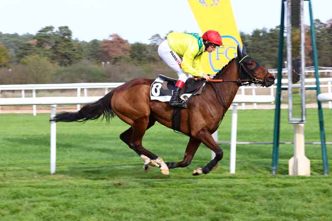 Photo d'arrivée de la course pmu PRIX DU THEATRE IMPERIAL DU CHATEAU DE FONTAINEBLEAU à FONTAINEBLEAU le Jeudi 29 octobre 2026