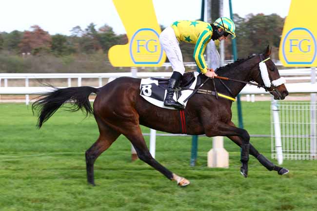 Photo d'arrivée de la course pmu PRIX DE LA ROUTE DES 2 SOEURS (CHAMPIONNAT PARIS TURF DES APPRENTIS. & JEUNES JOCKEYS) à FONTAINEBLEAU le Jeudi 29 octobre 2026