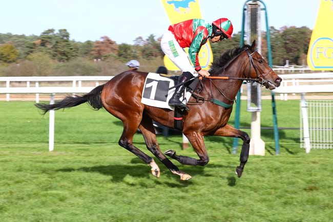 Photo d'arrivée de la course pmu PRIX COMTE ANTOINE DE GONTAUT-BIRON à FONTAINEBLEAU le Jeudi 29 octobre 2026