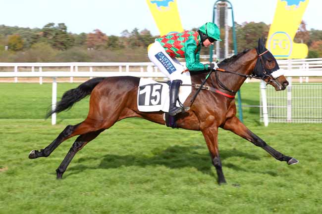 Photo d'arrivée de la course pmu PRIX PATRICE QUENEDEY à FONTAINEBLEAU le Jeudi 29 octobre 2026
