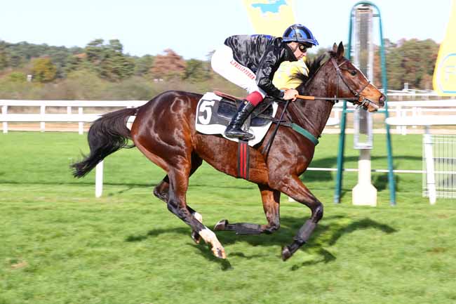 Photo d'arrivée de la course pmu PRIX DU MASSIF FORESTIER à FONTAINEBLEAU le Jeudi 29 octobre 2026