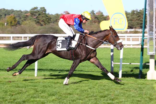 Photo d'arrivée de la course pmu PRIX COLONEL ROBERT LABOUCHE à FONTAINEBLEAU le Jeudi 29 octobre 2026