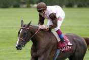 Photo de KISS DE GHAZAL cheval de PLAT