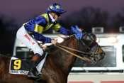 Photo de ROYAL PIERRE cheval de TROT MONTE