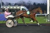 La photo de Toscano  hippodrome de paris-vincennes, quinté+ prix de chenonceaux  ,  quinté plus nocturne, quinté+, quinté plus, pronostic pmu, rapports pmu, pronostic pmu