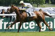 Photo de CATALINA SUNRISE cheval de PLAT