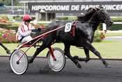 La photo de Queroan De Jay pronostics quinté, rapports pmu, résultats courses hippiques, hippodrome de Vincennes