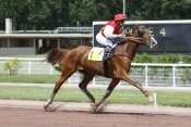 Photo de ORCHESTRA SAUTONNE cheval de TROT MONTE