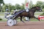 Photo de QUADRINIO JIEL cheval de TROT ATTELE