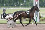 La photo de Titou De Touchyvon hippodrome d'enghien, pronostic quinté, rapports pmu, 