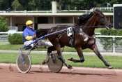 Photo de SAM BOURBON cheval de TROT ATTELE
