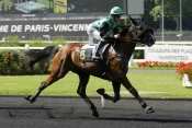 Photo de TINTIN DE ROCHE cheval de TROT MONTE