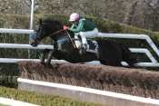 Photo de QUIETLY WINNER cheval de HAIES