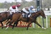 Photo de REPRESENTING cheval de PLAT