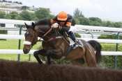 Photo de GRAND CHARLY cheval de HAIES