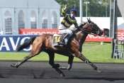 Photo de ROMBALDI cheval de TROT MONTE
