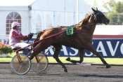 Photo de SEIZE DE BOMO cheval de TROT MONTE