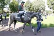 Photo de TOUT ROUGE cheval de STEEPLE CHASE