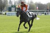 La photo de Stikine pronostic pmu gratuit, hippodrome de longchamp, résultat et rapport pmu, turf, 