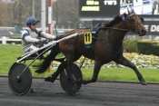 Photo de SAISON D'HAUFOR cheval de TROT ATTELE