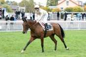 Photo de SPIRIT OF BATTLE cheval de PLAT