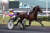 La photo de Quopeck  hippodrome de Paris-Vincennes, criterium des jeunes,   quinté+ prix de Cornulier, ready cash,  quinté plus nocturne, quinté+, quinté plus, pronostic 