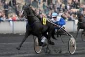 La photo de Reve De Beylev  hippodrome de Paris-Vincennes, criterium des jeunes,   trot attelé, trot monté, quinté+ prix de Cornulier, ready cash,  quinté plus nocturne, quinté+