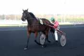 Photo de PRINTEMPS DE GAIA cheval de TROT ATTELE