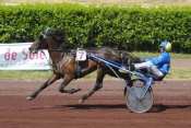 Photo de QUID DE CHAHAINS cheval de TROT ATTELE