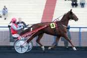 Photo de QUARTZ DUOPHI cheval de TROT ATTELE