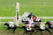 La photo de Hippodrome De Craon 