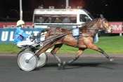 Photo de VIE A DEUX cheval de TROT ATTELE