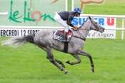 Photo de NINE LIVES cheval de PLAT