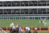 Photo Cheltenham Obstacle Steeple Chase Vue Tribunes