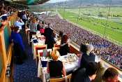Photo Cheltenham Restaurant Panoramique Hippodrome