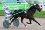 Photo de SERAPHIN DU LOGIS cheval de TROT ATTELE