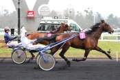 La photo de Village Mystic Prix De Selection 