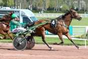 Photo de VORNAISE DU RIB cheval de TROT ATTELE