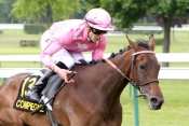 Photo de WINNA CHOPE cheval de PLAT