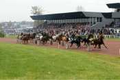 Photo Vire Course Trotteurs
