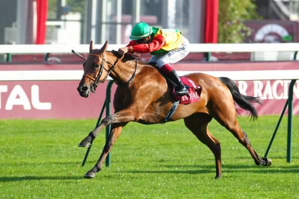 La photo de Sylvine Al Maury 