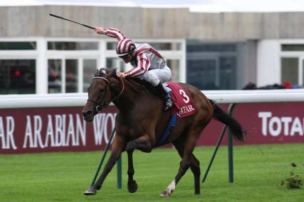 La photo de Cirrus Des Aigles  hippodrome de Longchamp, rapports PMU, cotes PMU, zeturf, betclic,  quinté plus nocturne, quinté+, quinté plus, pronostic 