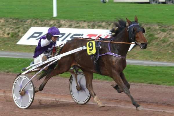 La photo de Un Diamant D'amour 