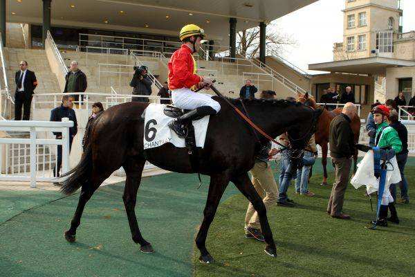 Photo de ABOU SELEM cheval de PLAT