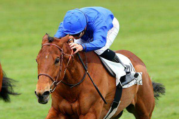 La photo de Rosental 